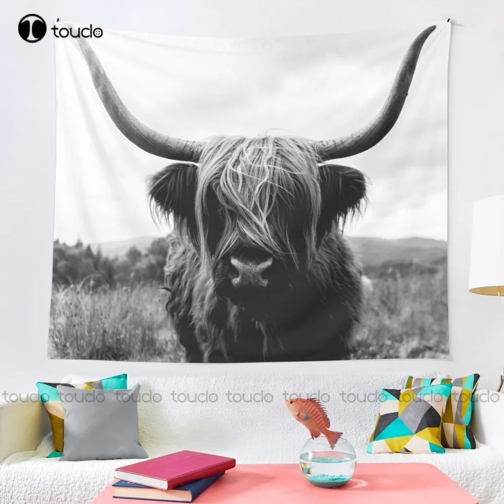 Bovini scozzesi delle Highland - Photography Online recensione e prezzo